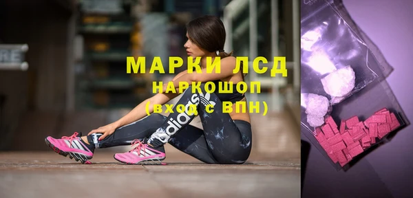 гашик Верея