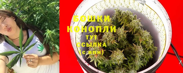 гашик Верея