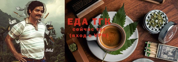 гашик Верея