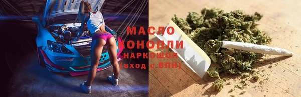 гашик Верея