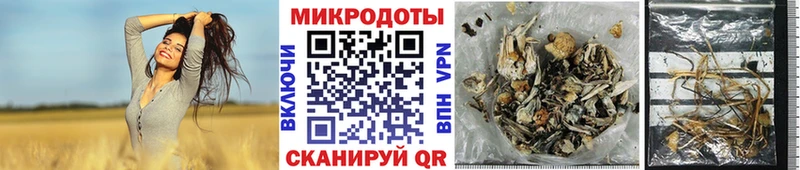 Псилоцибиновые грибы GOLDEN TEACHER ОМГ ОМГ зеркало Карабулак